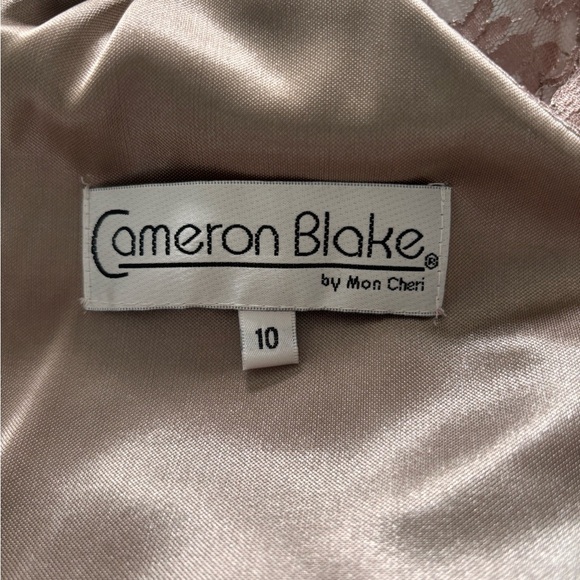 Cameron Blake Mother of the Bride Elegant Lace and Brad Trim Dress Sz 10 - Picture 2 of 15